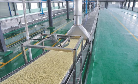 China 304 Sus-nicht- gebratene sofortige Nudel, die Maschine für Lebensmittelverarbeitung herstellt fournisseur