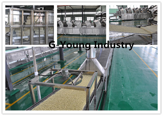 China Sofortige Gemüsenudeln, die Maschine für das Heißöl brät Nudel-Produktion herstellen fournisseur