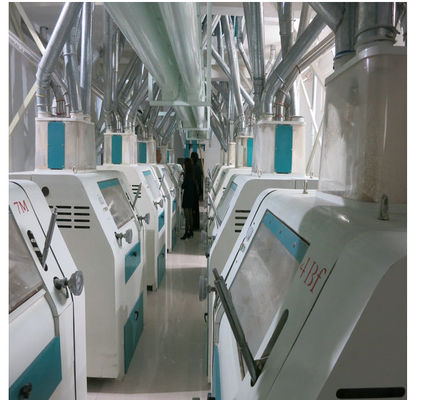 China Hohe Präzisions-automatische Nudel, die Maschine niedrige Energie-/Arbeits-Verbrauch macht fournisseur